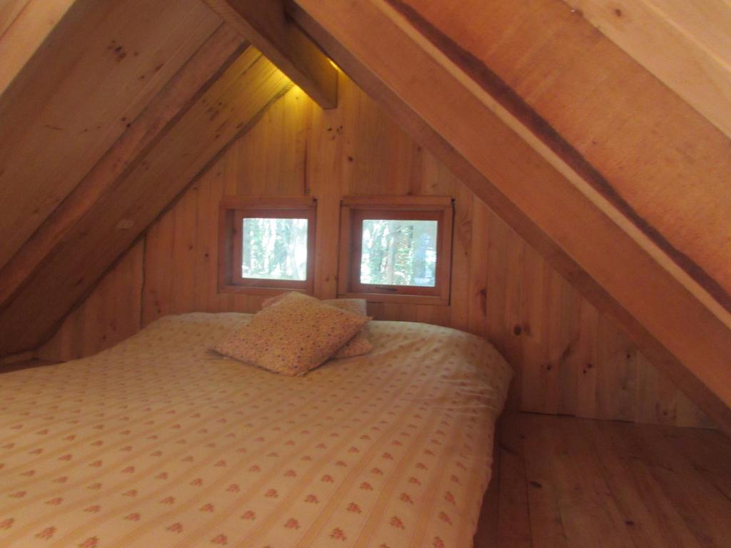 Cabana Rustica Patagonia Chilena Coñaripe 部屋 写真