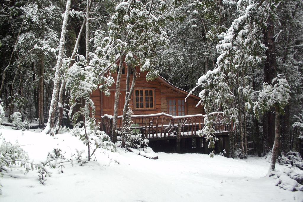 Cabana Rustica Patagonia Chilena Coñaripe 部屋 写真