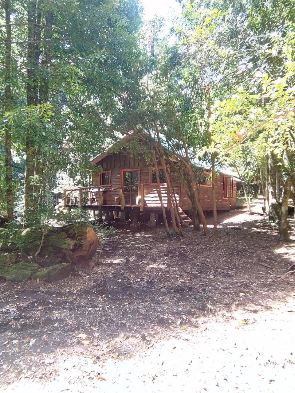 Cabana Rustica Patagonia Chilena Coñaripe エクステリア 写真