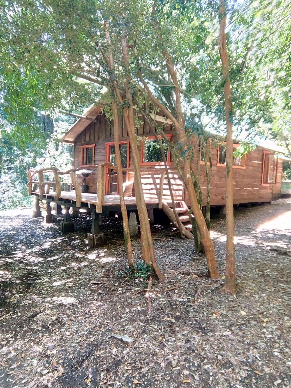 Cabana Rustica Patagonia Chilena Coñaripe エクステリア 写真