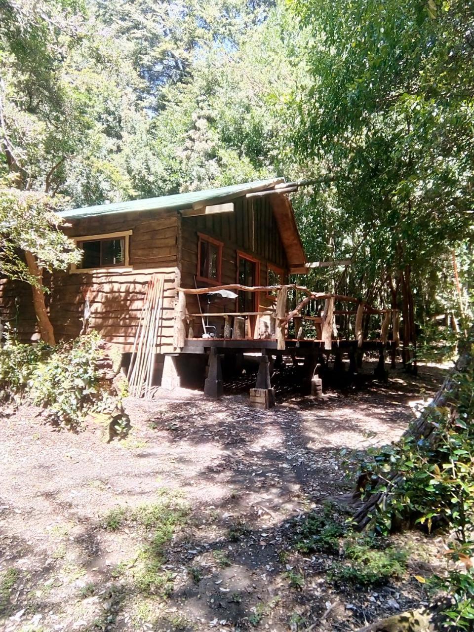 Cabana Rustica Patagonia Chilena Coñaripe エクステリア 写真